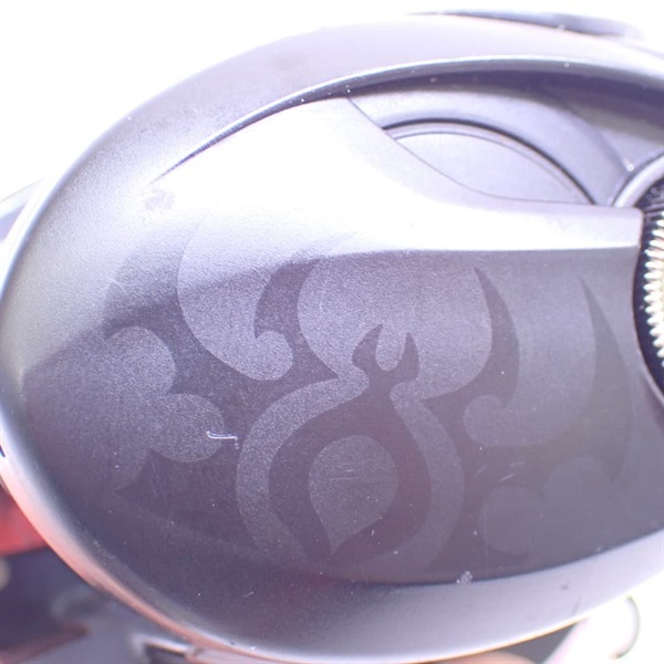 １９タトゥーラＴＷ１００ＳＨＬ